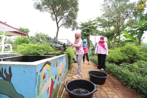 Budidaya Lele, Pengelola RPTRA Sunter Muara Panen 50 Kilogram Ikan dalam 2,5 Bulan