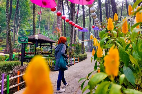Srambang Park yang Instagramable di Ngawi Sudah Buka Kembali