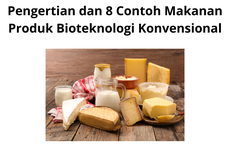 Pengertian dan 8 Contoh Makanan Produk Bioteknologi Konvensional