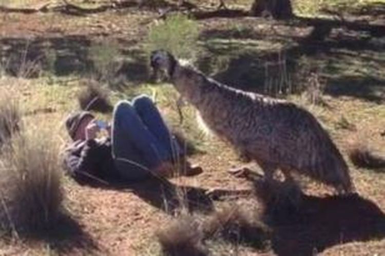 Seekor burung emu terekam kamera melakukan ritual kawin di hadapan seorang turis asal AS yang sedang menjelajah pedalaman Australia. Burung emu itu nampaknya tertarik dengan sosok si turis dan mencoba merayunya.