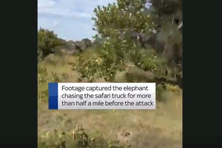 Rekaman menunjukkan gajah mengejar truk safari sejauh lebih dari setengah mil sebelum serangan terjadi di Taman Nasional Kafue, Zambia.