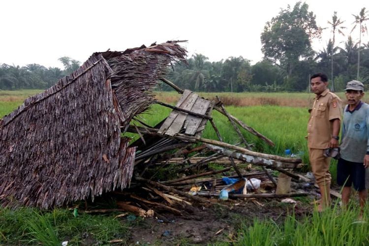 Enam warga disambar petir saat berada di pondok di tengah sawah, Senin (18/11/2019). Satu tewas dan dua luka-luka