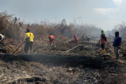 Kebakaran Lahan di Bengkalis Sulit Dipadamkan, Petugas Butuh Bantuan 
