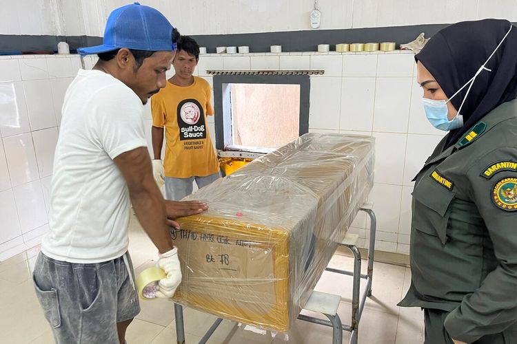 2,9 Ton Tuna Segar Asal Maluku Diekspor ke Jepang dan AS