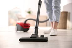 Jangan Menyedot Daun dan Tanah Tanaman dengan Vacuum Cleaner, Kenapa?