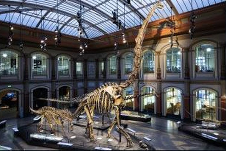 5 Museum Dinosaurus Terbaik Di Dunia Halaman 2 Kompas Com