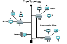 Topologi Tree: Pengertian, Fungsi, Jenis, Karakteristik, Cara Kerja, dan Kelebihannya