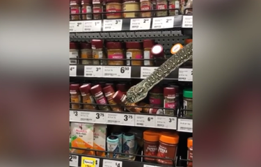 Ular piton yang muncul dari balik rak bumbu di sebuah supermarket di Australia.