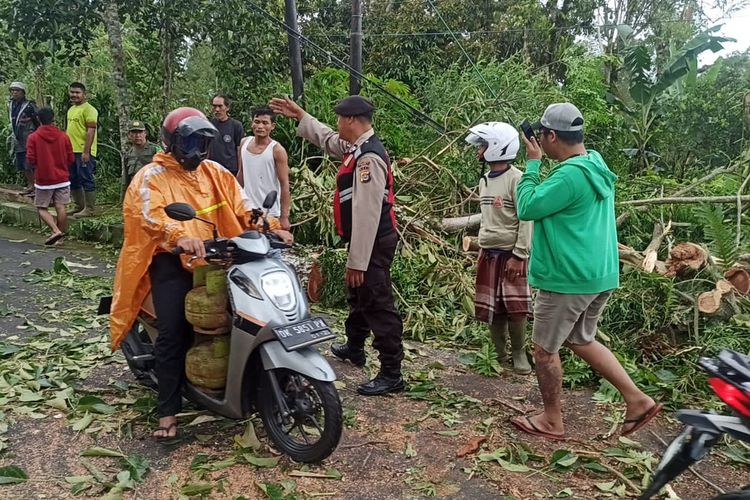 Polisi saat mendatangi lokasi pohon tumbang yang menewaskan seorang mahasiswa berinisial YS (29), di depan  kuburan Banjar Kiadan, Desa Pelaga, Kecamatan Petang, Kabupaten Badung, Bali, pada Rabu (13/3/2024). / Dok. Humas Polres Badung