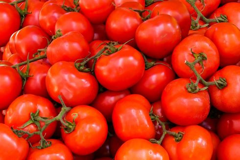 Harga Tomat Meroket, Petani India Hasilkan Rp 549 Juta Tiap Bulan