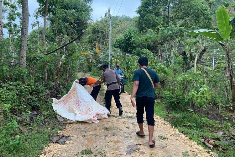 Lokasi warga tersengat aliran listrik di Kapanewon Tepus, Gunungkidul, DI Yogyakarta. Senin (10/10/2022)