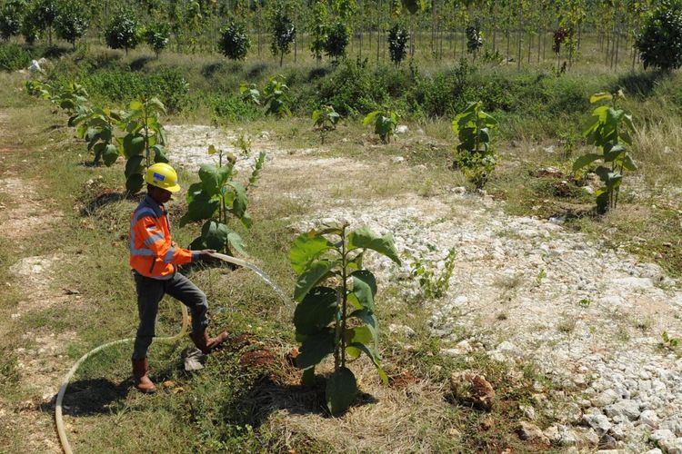 SIG Percepat Penggunaan Energi Alternatif dan Reklamasi Tambang