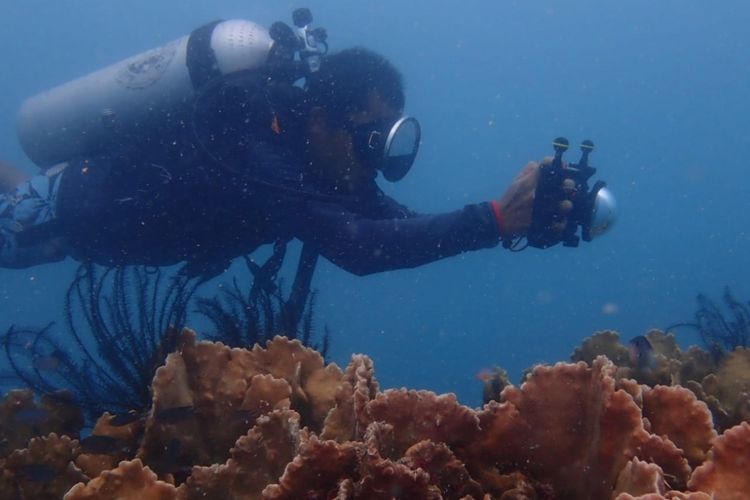 Penyelam memotret biota laut di Pulau Pramuka, Kepulauan Seribu.