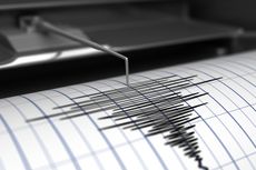 Gempa Bumi M 4,1 Guncang Sumba Barat NTT, Tak Berpotensi Tsunami