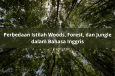 Perbedaan Istilah Woods, Forest, dan Jungle dalam Bahasa Inggris