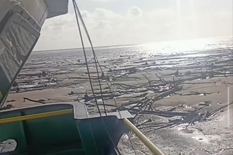 Viral Video Laut Surut Drastis di Medsos, KSOP Kendari Pastikan Bukan di Sulawesi Tenggara