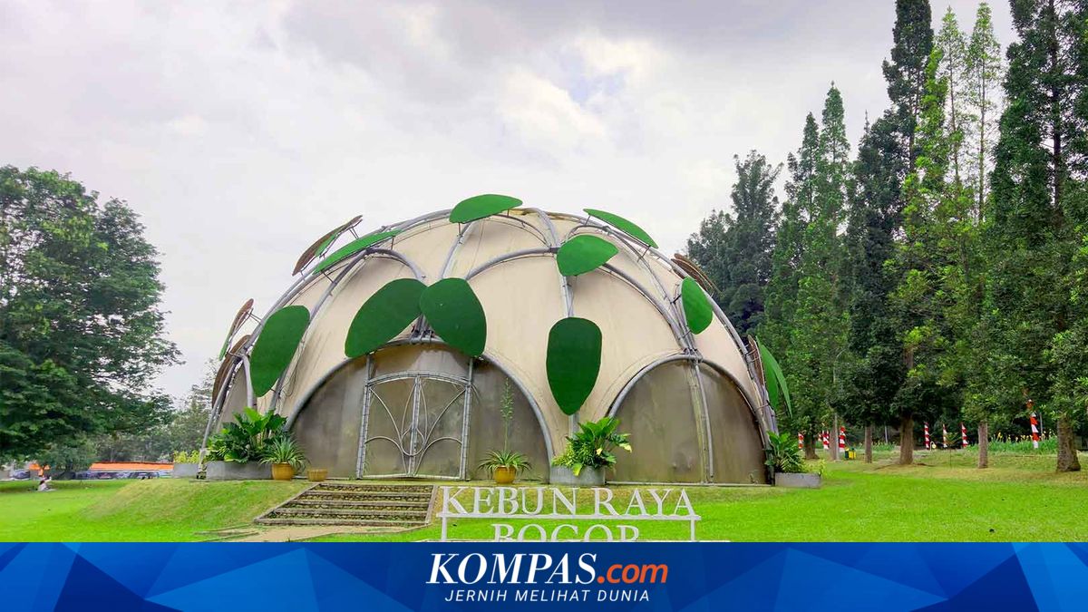 Mengapa Bogor Makin Panas? Ini Penjelasan Pakar IPB