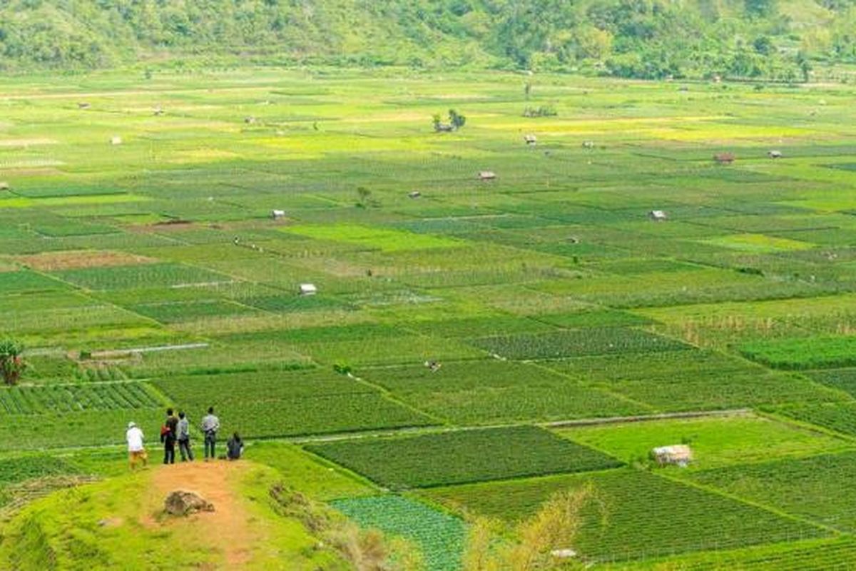 Bukit Selong, Lombak, Nusa Tenggara Barat