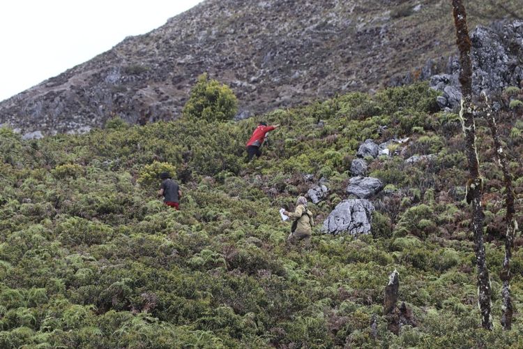 Pendaki Asal Bogor Hilang di Gunung Binaya Maluku, Jejak Ditemukan di Hari Ke-9