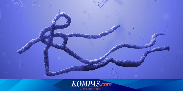 Muntah Dan Diare Ditemukan Cacing Parasit Menggeliat Di Dalam Perut Pria Ini Halaman All Kompas Com