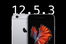 Apple Rilis iOS 12.5.3 untuk iPhone dan iPad Lawas 