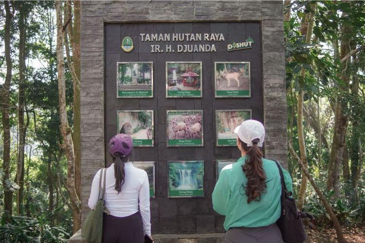 Ilustrasi tamu hotel. 