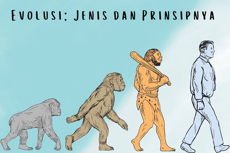 Ilustrasi evolusi, jenis evolusi, dan prinsip evolusi.