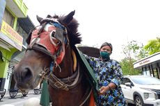 Marmoyo, Kuda di Malioboro Dapat Hadiah Jas Hujan Jelang Lebaran
