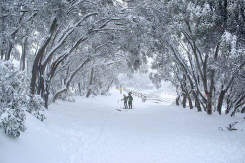 Ini Waktu Terbaik untuk Liburan Musim Dingin di Australia