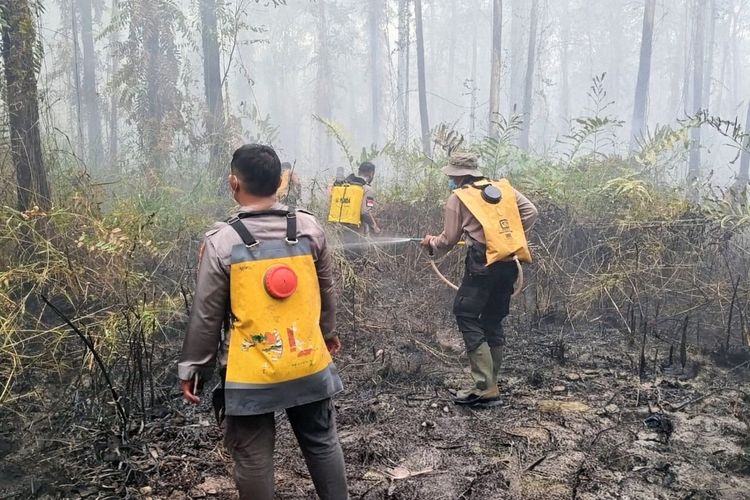 Lima Titik Api Nyata Terdeteksi di Way Kambas, 150 Personel Dikerahkan