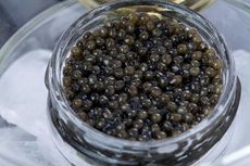 6 Manfaat Kaviar dan Alasan Harganya Mahal