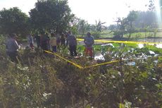 Dua Petani Tewas Tersengat Listrik Jebakan Tikus di Sawah Tetangganya