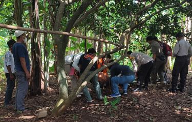 Saat Pria Gantung Diri di Kebun Kosong Jagakarsa dan Jadi Tontonan ...