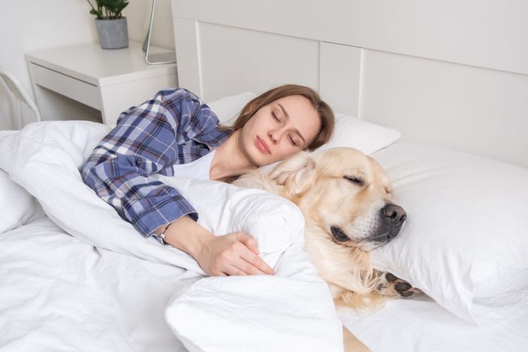 Ilustrasi tidur bersama anjing peliharaan. 