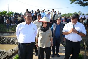 Petani yang Perbaiki Sawah Sendiri Diberi Insentif Rp 100.000 Per Hari di Aceh Utara