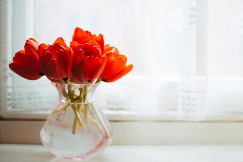 Ingin Bunga Segar Tahan Lama di Vas? Begini Caranya