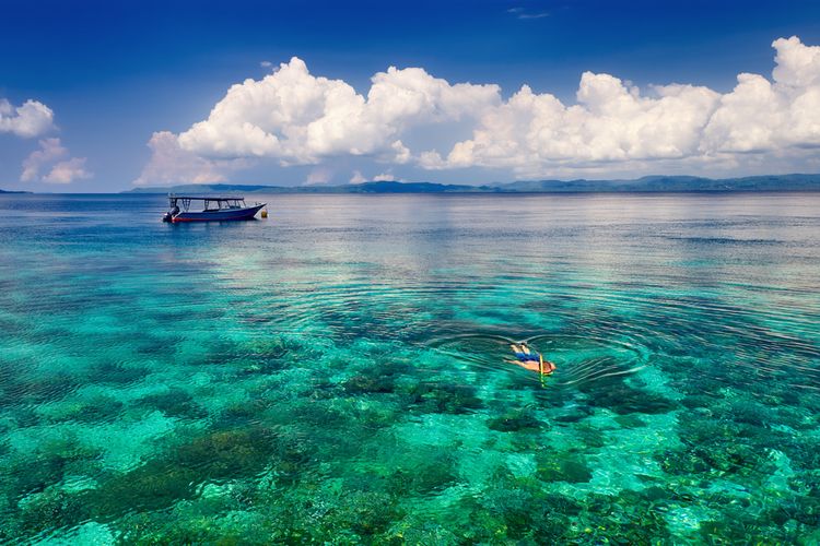 Ilustrasi seorang pria tengah snorkeling di lautan jernih dengan terumbu karang indah di Bunaken.