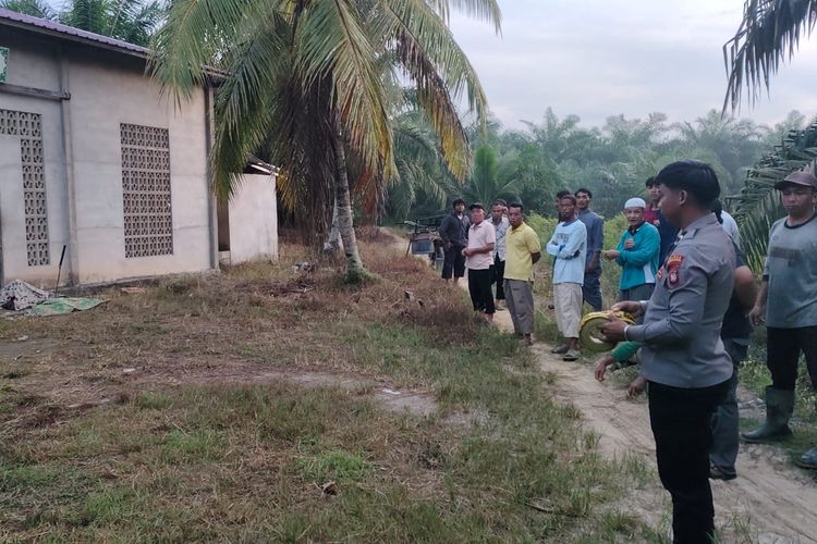 Warga di Bengkayang Kalbar Tewas Diserang Sajam Usai Shalat Subuh, Pelaku Ditangkap