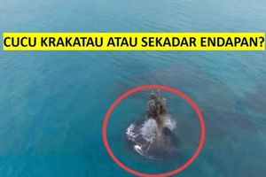 Daratan Baru Seluas 30,3 Hektar Muncul di Dekat Anak Krakatau, Membentuk Gunung Api Baru?