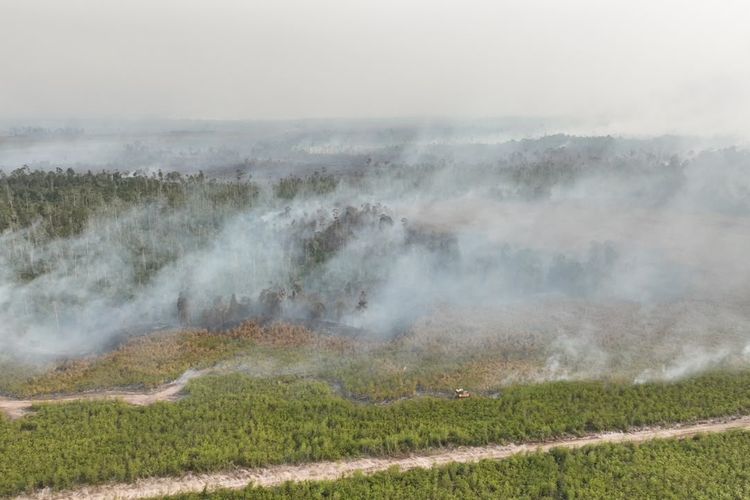 Update Jumlah Titik Hotspot di 5 Provinsi Kalimantan 22 Agustus 2026, Terbanyak Kalbar