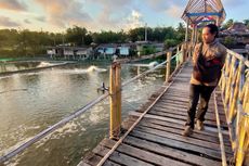 Obyek Wisata Mangrove Jembatan Api-api Kulon Progo Rusak, Tak Bangkit Pasca-Covid-19