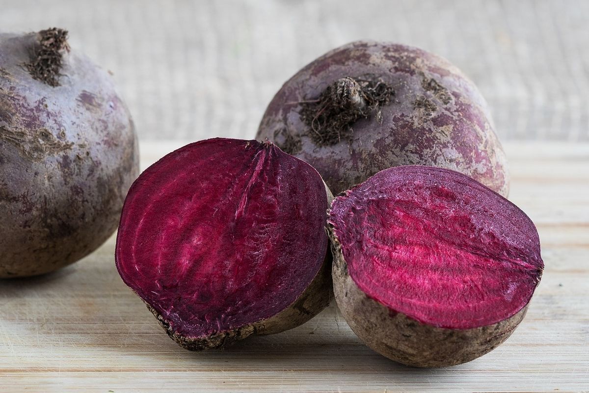 Ilustrasi buah bit, buah bit merah.