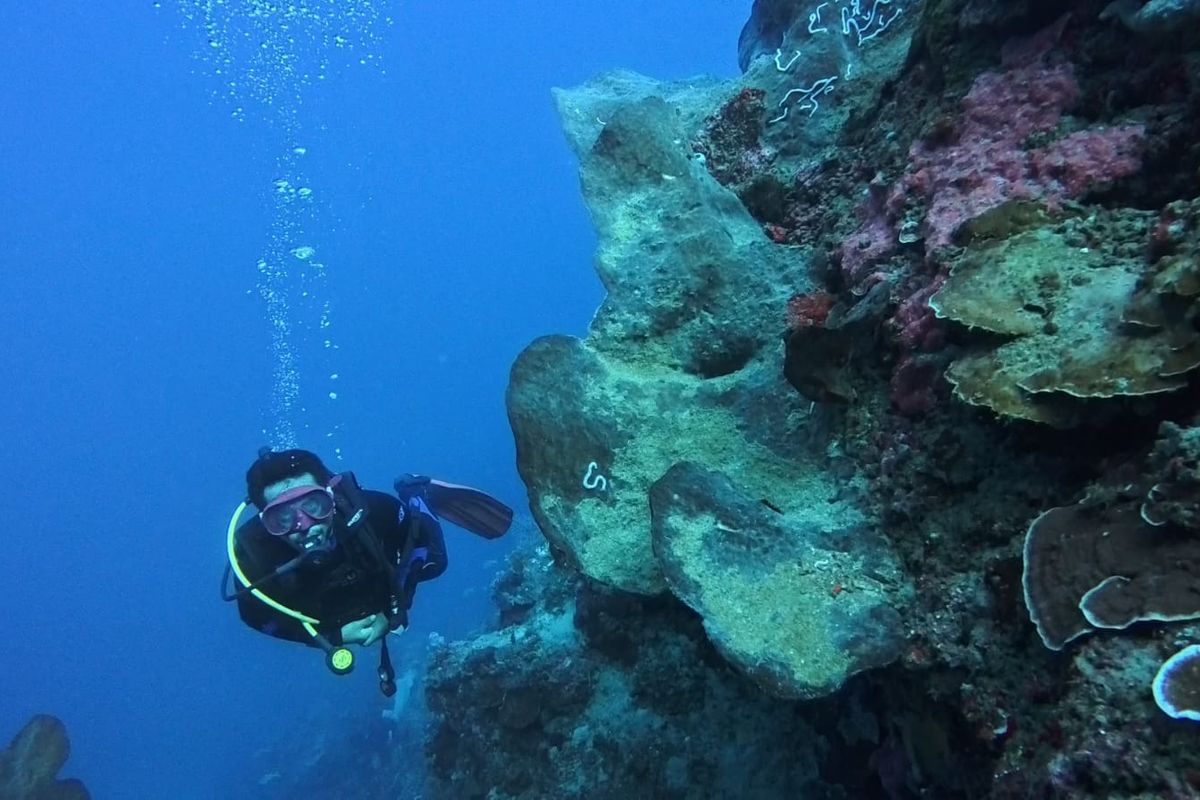 Keindahan alam bawah laut destinasi sandro pole Sumbawa 