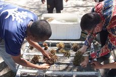 Tingkatkan Kesejahteraan Masyarakat, Kementerian KP Gelar Pelatihan “Nilai Tambah Ikan dan Produk Perikanan”