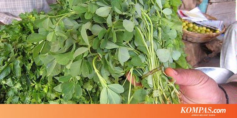  Tanaman  Herbal untuk  Diabetes  Halaman all Kompas com