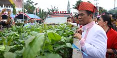 Kopi Toraja Makin Mendunia, Pemerintah Bantu Petani Bibit Unggulnya