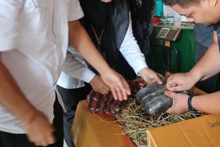 Petugas BNN memeriksa bungkusan berisi ganja yang akan dikirim melalui jasa ekspedisi di Banda Aceh. 