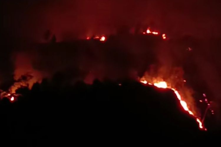 Karhutla Gunung Arjuno-Ringgit Makin Meluas hingga 4 Wilayah Kota dan Kabupaten