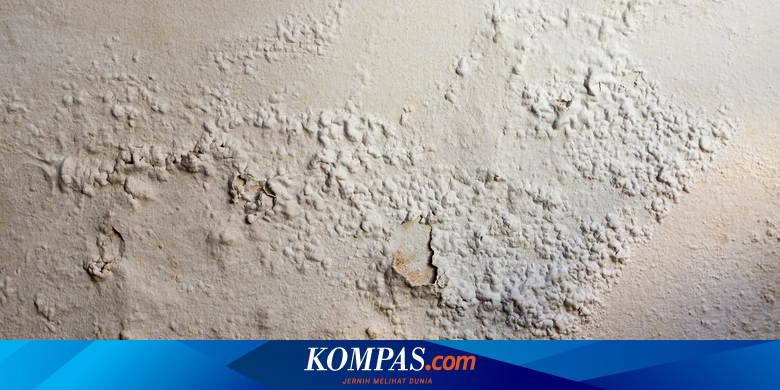 Penyebab dan Cara Atasi Cat Tembok Menggelembung Menurut Dosen Teknik