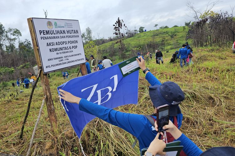 Salah satu penggemar K-pop mengibarkan bendera idolanya di kawasan penanaman pohon di Hutan Harapan, Jambi, Jumat (9/2/2024).